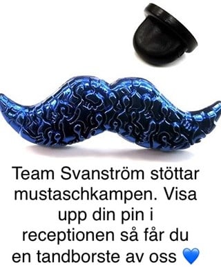 Mustaschkampen.jpg